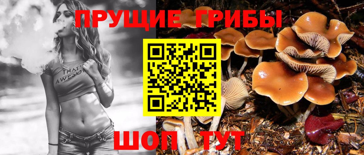 Галлюциногенные грибы Cubensis  Псилоцибиновые грибы Psilocybe  купить наркотик  Тосно  Вход с VPN 