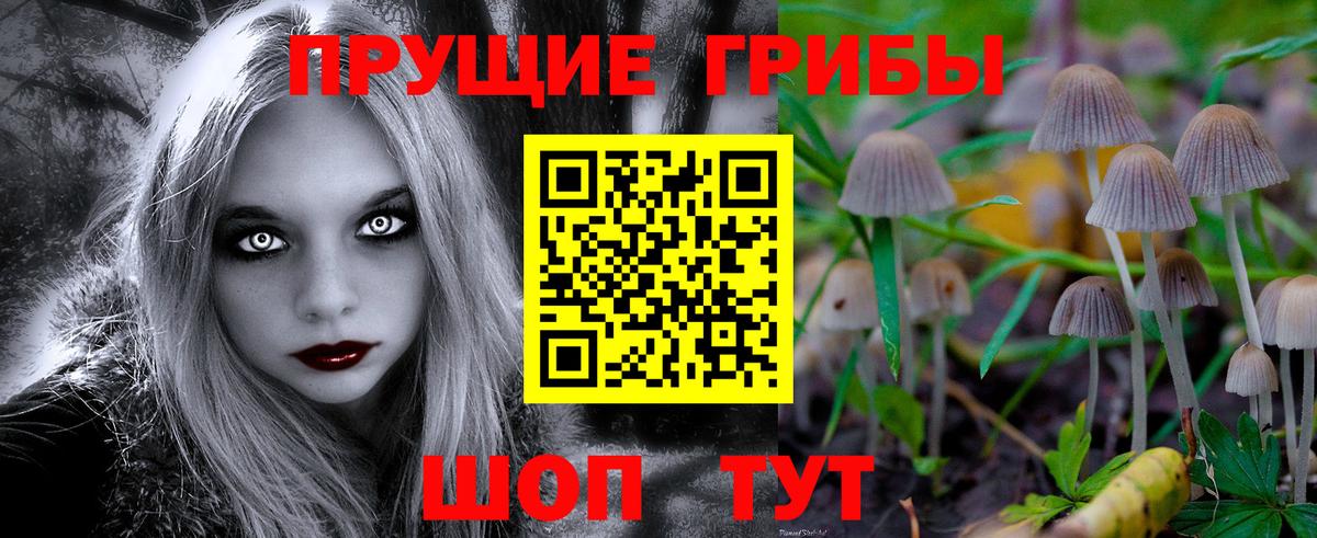 Псилоцибиновые грибы прущие грибы Тосно